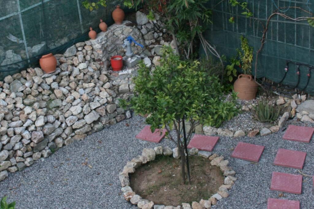 Kiki Stegna Apartment Archangelos  Bagian luar foto